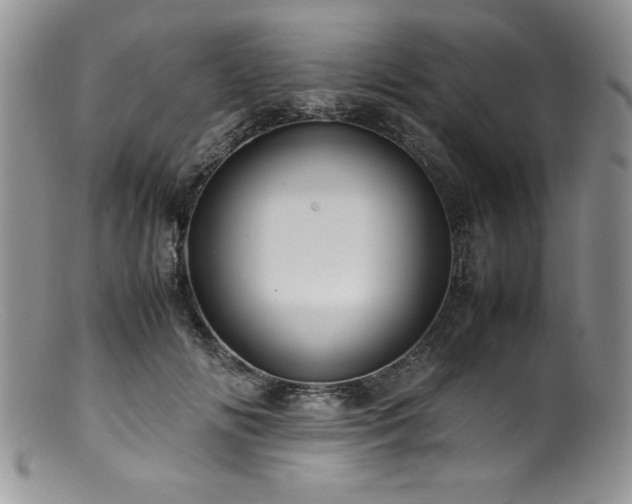 X0000100880702200806201246