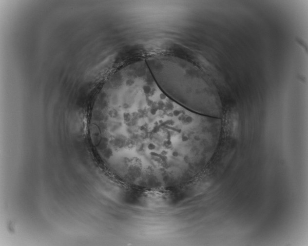 X0000100880703200806201246
