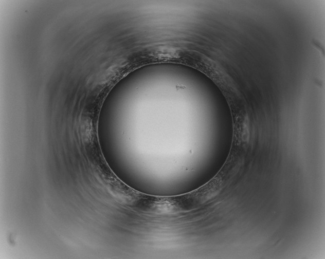 X0000100880704200806201246