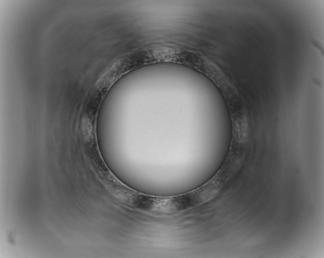 X0000100880705200806201246