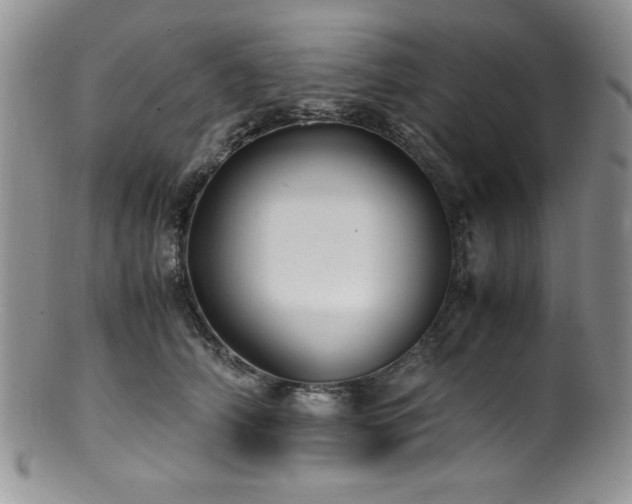 X0000100880706200806201246
