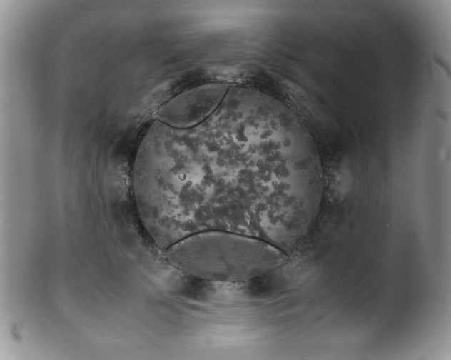 X0000100880707200806201246