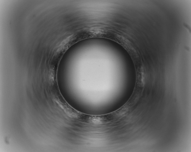 X0000100880710200806201246
