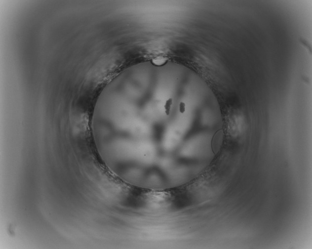 X0000100880711200806201246