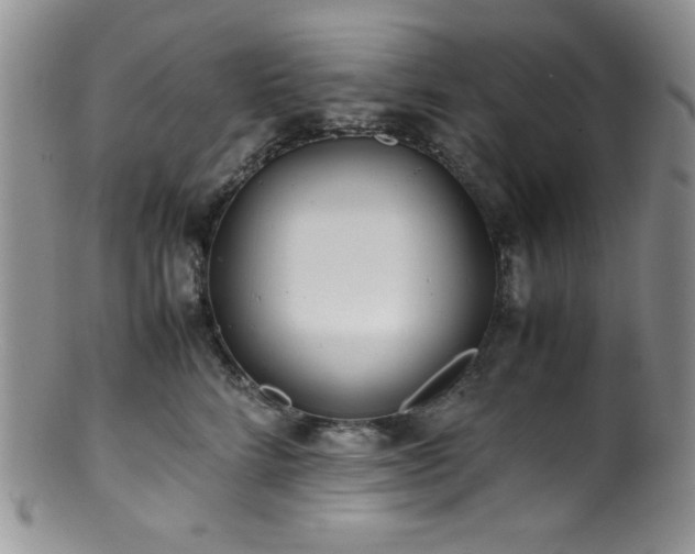 X0000100880712200806201246
