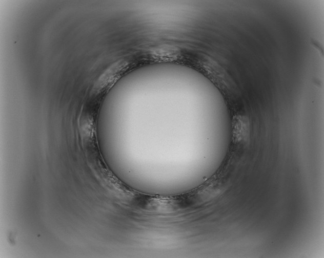 X0000100880713200806201246