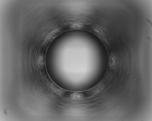 X0000100880714200806201246
