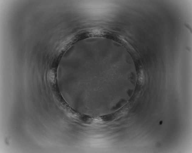 X0000100880715200806201246