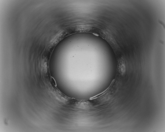X0000100880716200806201246