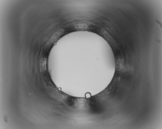 X0000100880717200806201246