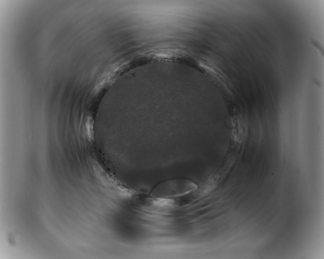 X0000100880718200806201246