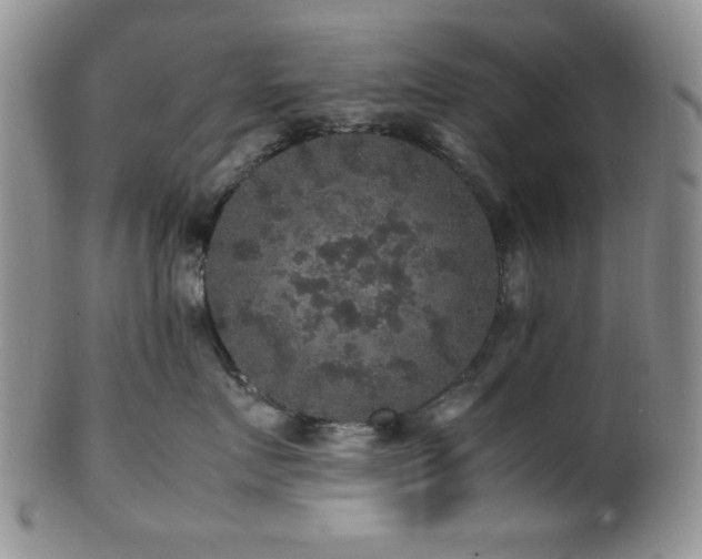 X0000100880719200806201246