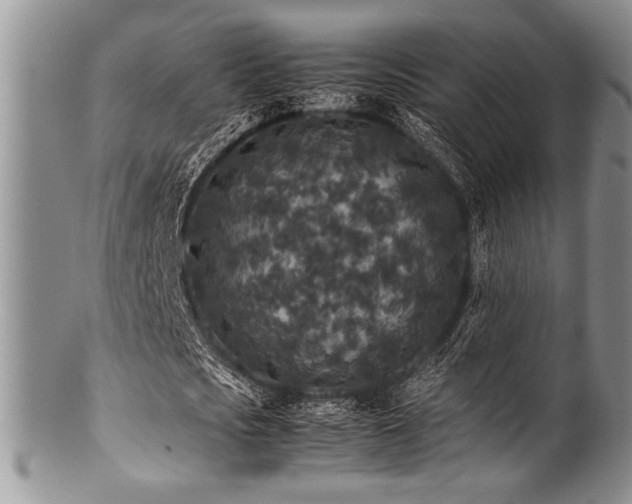 X0000100880721200806201245
