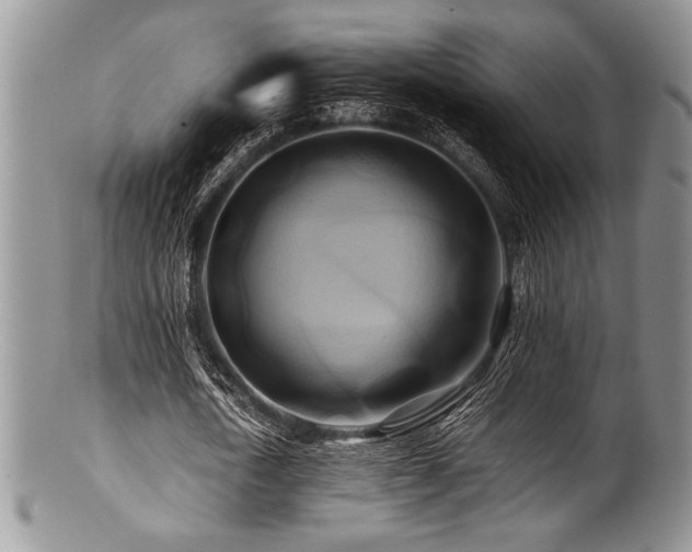 X0000100880722200806201245