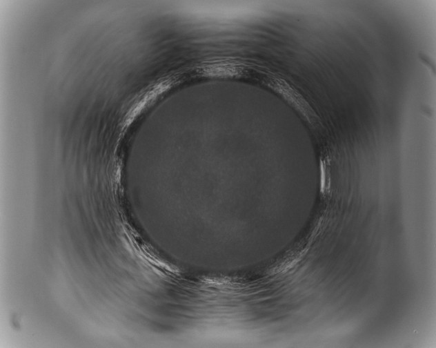X0000100880723200806201245