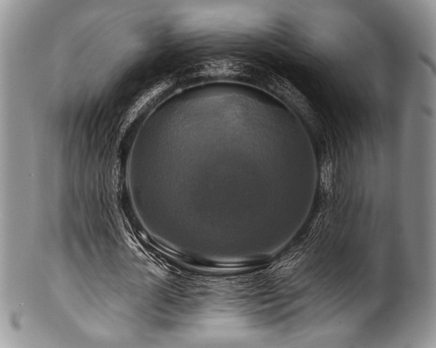 X0000100880724200806201245