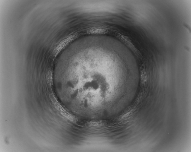X0000100880725200806201245