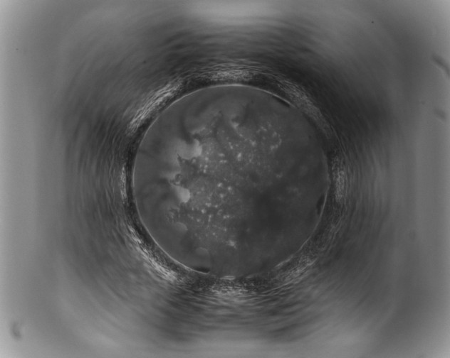 X0000100880729200806201245