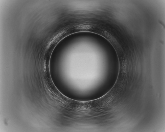 X0000100880731200806201245