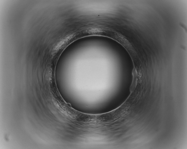 X0000100880732200806201245