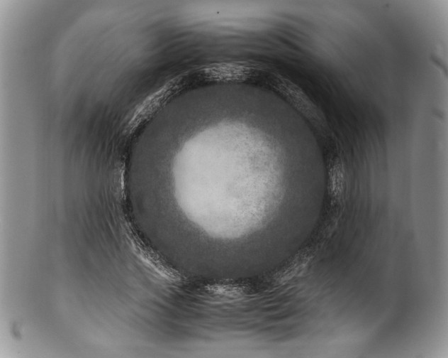 X0000100880733200806201245