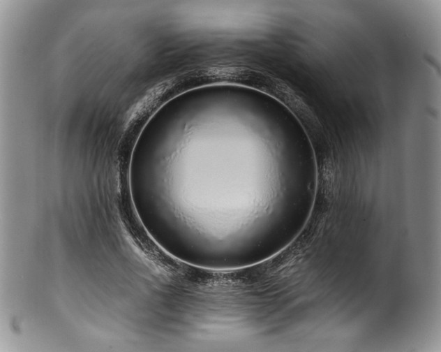 X0000100880734200806201245