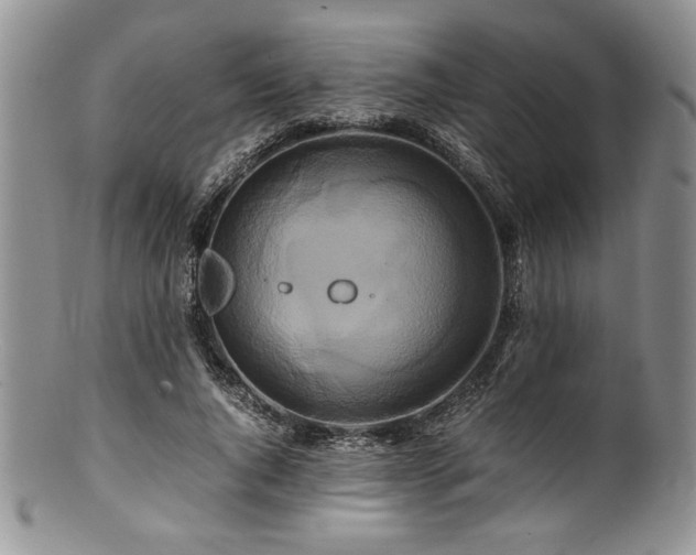 X0000100880736200806201245