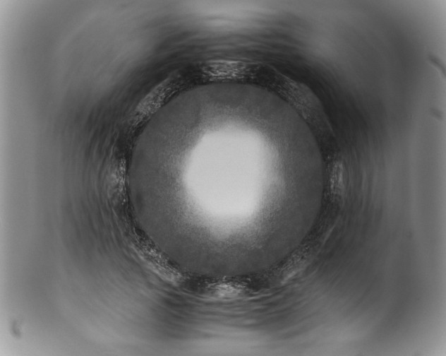 X0000100880737200806201245