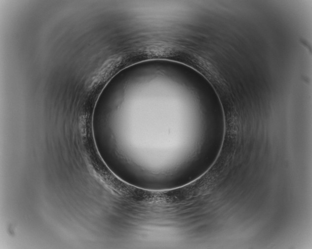 X0000100880738200806201245