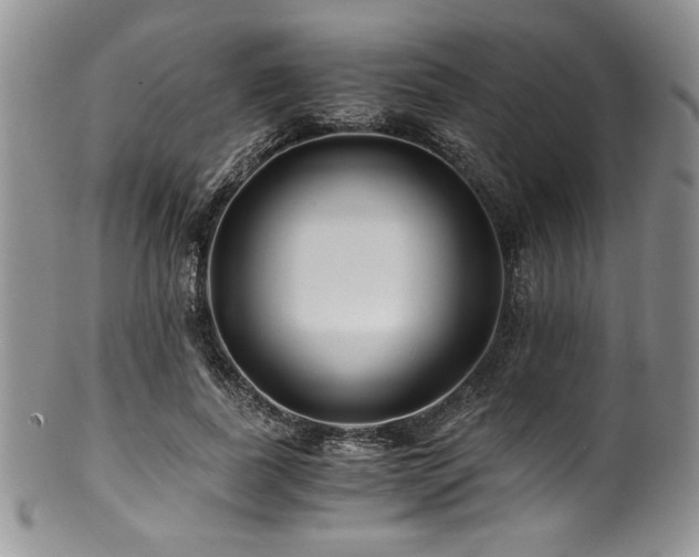 X0000100880739200806201245