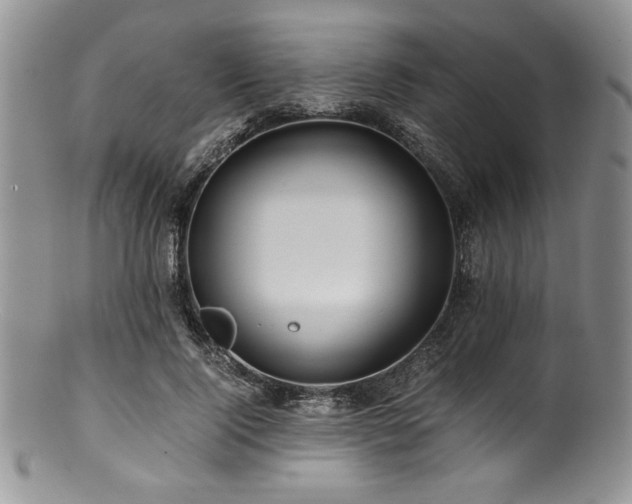 X0000100880740200806201245
