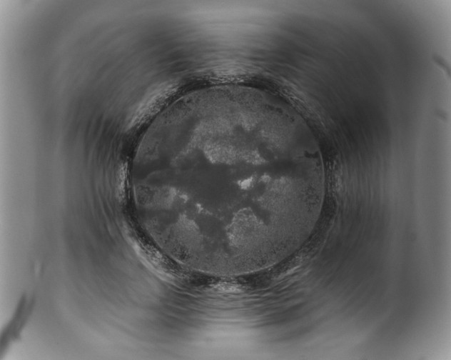 X0000100880742200806201245