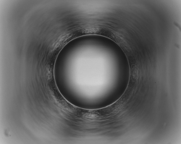 X0000100880743200806201245