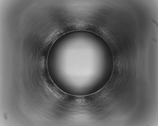 X0000100880744200806201246