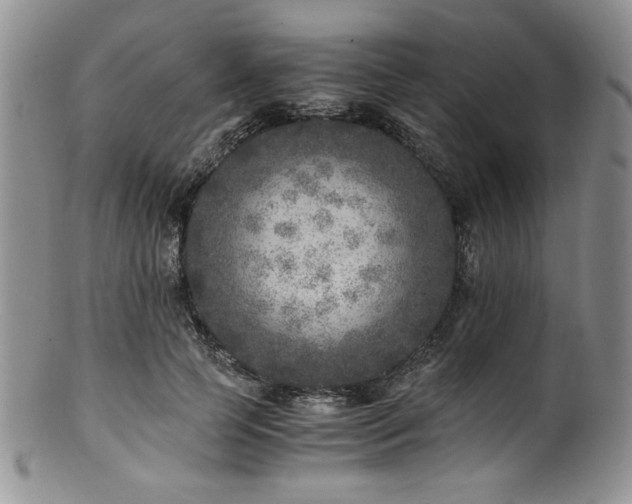 X0000100880745200806201246