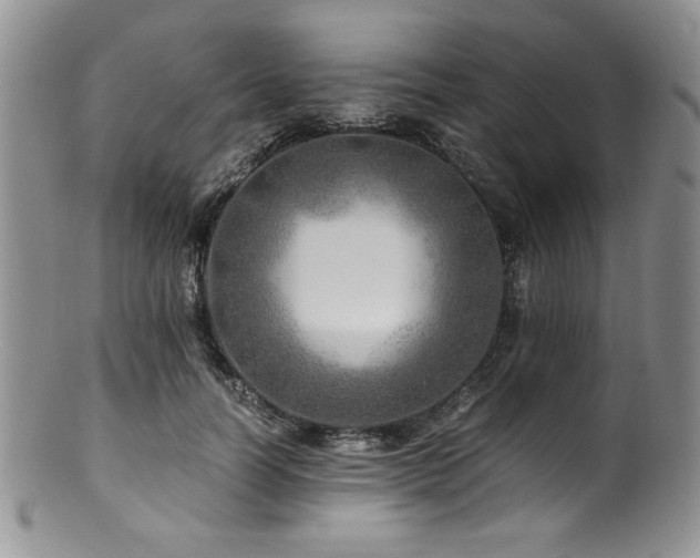 X0000100880746200806201246