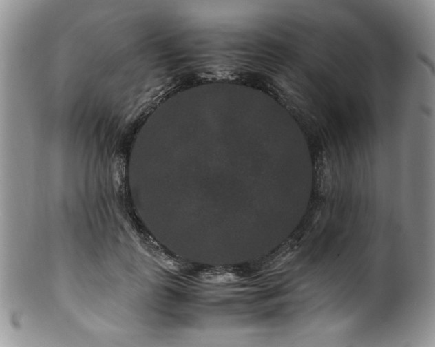 X0000100880747200806201246