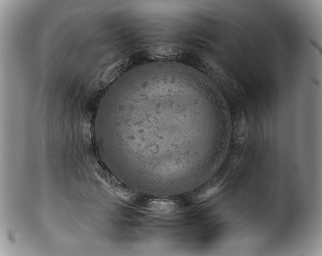 X0000100880749200806201246
