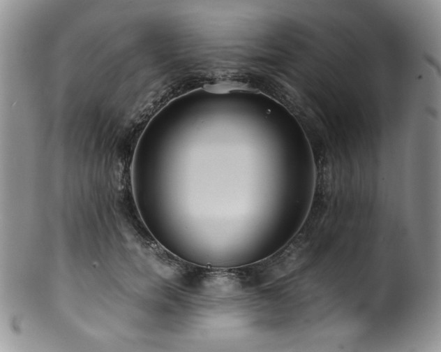 X0000100880750200806201246