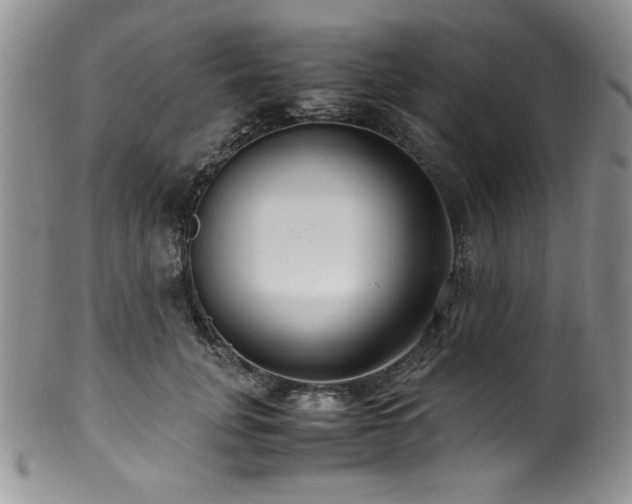 X0000100880751200806201246