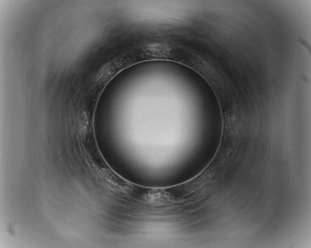 X0000100880752200806201246