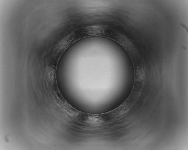 X0000100880753200806201246