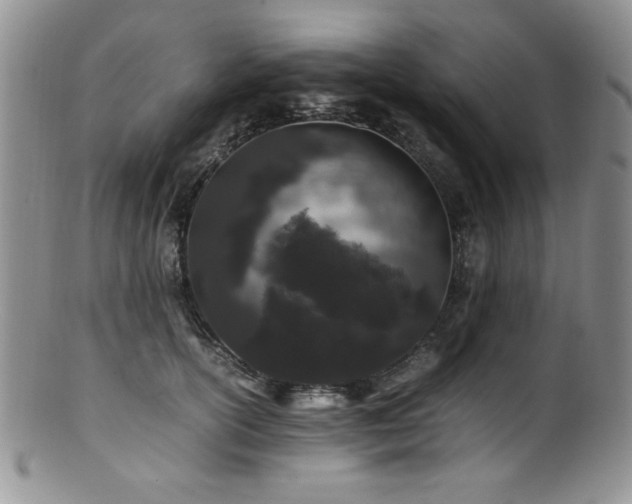 X0000100880754200806201246