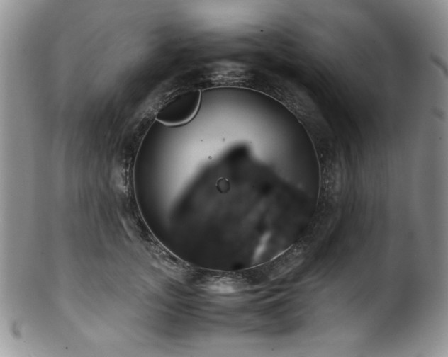 X0000100880755200806201246