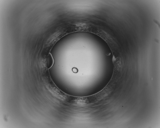X0000100880756200806201246