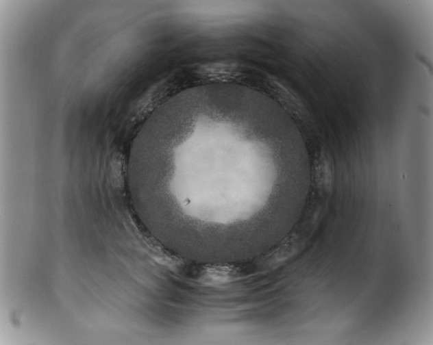 X0000100880757200806201246