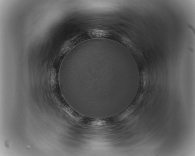 X0000100880760200806201246