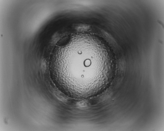 X0000100880761200806201246
