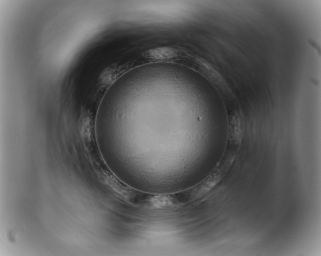X0000100880762200806201246