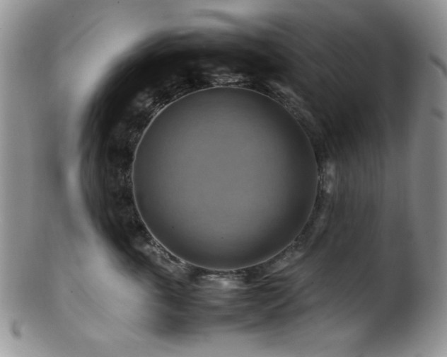 X0000100880763200806201246